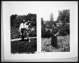 Photograph: Picture of Man and Woman in Garden; Picture of Woman in Garden