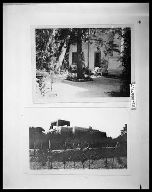 Primary view of object titled 'Exterior of House and Trees; Pueblo, NM'.