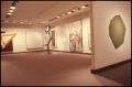 Collection: American Art Since 1945 [Exhibition Photographs]