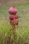 Photograph: Red fire hydrant, Thurber