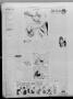 Thumbnail image of item number 4 in: 'Corpus Christi Caller (Corpus Christi, Tex.), Vol. 23, No. 80, Ed. 1 Tuesday, May 16, 1922'.