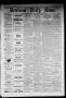 Primary view of Denison Daily News. (Denison, Tex.), Vol. 7, No. 20, Ed. 1 Sunday, March 16, 1879