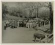 Photograph: [People at Food and Livestock Show]
