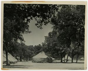 Primary view of object titled '[4-H Camp]'.