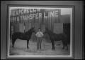 Photograph: [Photograph of Everett Cline at Powell's Livery Stable]