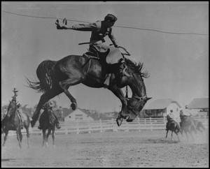Primary view of object titled '[Photograph of a Bronc Rider]'.