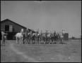 Photograph: [Photograph of a Man with Horses]