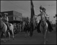Photograph: [Photograph of Horses in a Rodeo Parade]