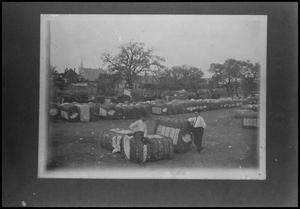 Primary view of object titled '[Photograph of a Cotton Yard]'.