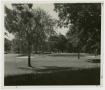 Photograph: [Players on a Golf Course]