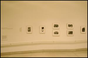 Primary view of object titled 'Like a One-Eyed Cat: Photographs by Lee Friedlander, 1956-1987 [Photograph DMA_1433-03]'.