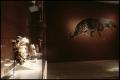 Animals in African Art: From the Familiar to the Marvelous [Photograph DMA_1533-40]