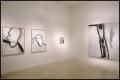 Susan Rothenberg: Paintings and Drawings [Photograph DMA_1496-23]