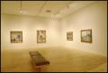Photograph: Pierre Bonnard: The Late Paintings [Photograph DMA_1362-18]