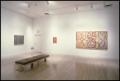 Primary view of Brice Marden, Work of the 1990s: Paintings, Drawings, and Prints [Photograph DMA_1565-11]