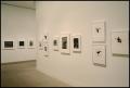 Primary view of Aaron Siskind: Fifty Years [Photograph DMA_1386-03]