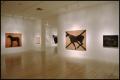 Primary view of Susan Rothenberg: Paintings and Drawings [Photograph DMA_1496-05]
