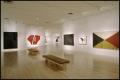 Primary view of Susan Rothenberg: Paintings and Drawings [Photograph DMA_1496-11]
