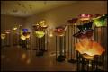 Photograph: Dale Chihuly: Installations 1964-1994 [Photograph DMA_1502-27]