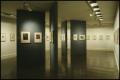 Photograph: A Print History: The Bromberg Gifts [Photograph DMA_0271-16]