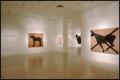 Susan Rothenberg: Paintings and Drawings [Photograph DMA_1496-04]