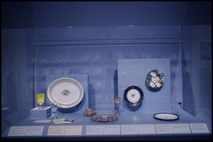 Primary view of From Tabletop to TV Tray: China and Glass in America, 1880-1980 [Photograph DMA_1594-28]