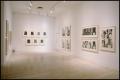 Photograph: Jasper Johns: Process and Printmaking [Photograph DMA_1550-12]