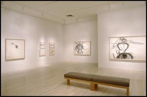 Primary view of object titled 'Susan Rothenberg: Paintings and Drawings [Photograph DMA_1496-21]'.