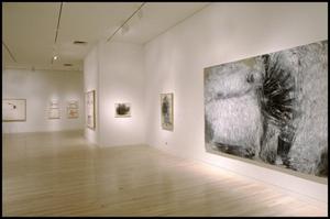Primary view of object titled 'Susan Rothenberg: Paintings and Drawings [Photograph DMA_1496-13]'.