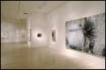 Susan Rothenberg: Paintings and Drawings [Photograph DMA_1496-13]