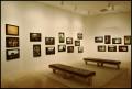 Photograph: Court Arts of Indonesia [Photograph DMA_1453-11]