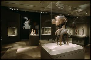 Primary view of object titled 'Dallas Museum of Art Installation: Arts of Africa, Asia and Pacific [Photograph DMA_90008-14]'.