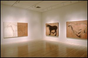 Primary view of object titled 'Susan Rothenberg: Paintings and Drawings [Photograph DMA_1496-02]'.