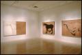 Photograph: Susan Rothenberg: Paintings and Drawings [Photograph DMA_1496-02]