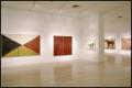 Photograph: Susan Rothenberg: Paintings and Drawings [Photograph DMA_1496-08]