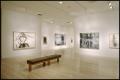 Photograph: Susan Rothenberg: Paintings and Drawings [Photograph DMA_1496-15]