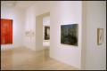 Photograph: Gerhard Richter in Dallas Collections [Photograph DMA_1583-14]