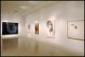 Photograph: Susan Rothenberg: Paintings and Drawings [Photograph DMA_1496-14]