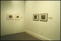 Photograph: Counterparts: Form and Emotion in Photographs [Photograph DMA_1313-13]