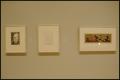 Enduring Impressions: Selections from the Bromberg Print Gifts [Photograph DMA_1459-09]