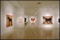 Photograph: Susan Rothenberg: Paintings and Drawings [Photograph DMA_1496-03]