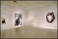 Susan Rothenberg: Paintings and Drawings [Photograph DMA_1496-16]