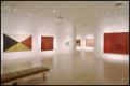 Susan Rothenberg: Paintings and Drawings [Photograph DMA_1496-07]
