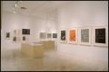 Photograph: Jasper Johns: Process and Printmaking [Photograph DMA_1550-07]