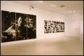 Photography in Contemporary German Art: 1960 to the Present [Photograph DMA_1473-17]