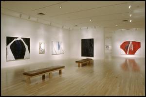 Primary view of object titled 'Susan Rothenberg: Paintings and Drawings [Photograph DMA_1496-09]'.