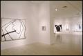 Primary view of Susan Rothenberg: Paintings and Drawings [Photograph DMA_1496-20]