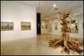 Photograph: The State I'm In: Texas Art at the DMA [Photograph DMA_1464-08]