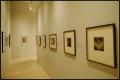 Enduring Impressions: Selections from the Bromberg Print Gifts [Photograph DMA_1459-16]