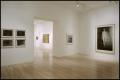 Photograph: Gerhard Richter in Dallas Collections [Photograph DMA_1583-22]